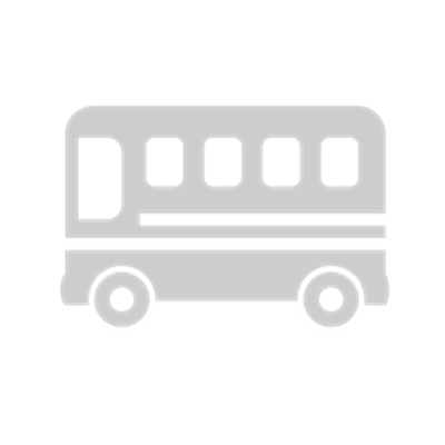 自動車検査証の記載情報が次のいずれかを満たす自動車で、旅客運送を行うことができる免許。<br />
<br />
車両総重量：11,000㎏以上<br />
乗車定員：30人以上